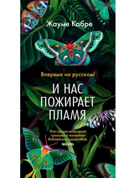 И нас пожирает пламя: роман