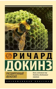 Расширенный фенотип: длинная рука гена