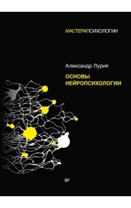 Основы нейропсихологии