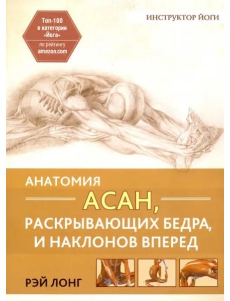 Анатомия асан, раскрывающих бедра, и наклонов вперед