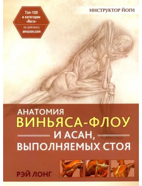 Анатомия виньяса-флоу и асан, выполняемых стоя