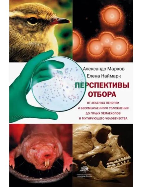 Перспективы отбора. От зеленых пеночек и бессмысленного усложнения до голых землекопов