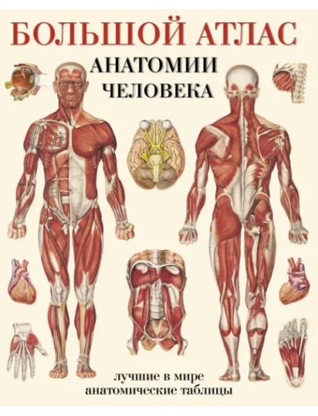 Большой атлас анатомии человека. Лучшие в мире анатомические таблицы