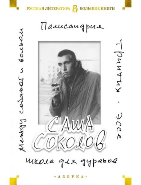 Школа для дураков. Между собакой и волком. Палисандрия. Эссе. Триптих