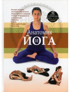 Анатомия и йога