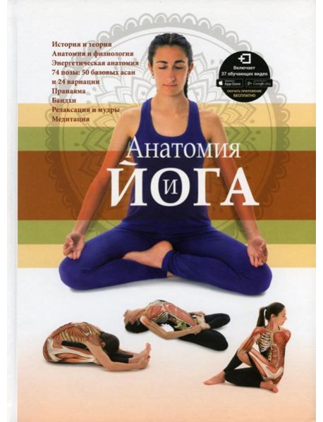Анатомия и йога