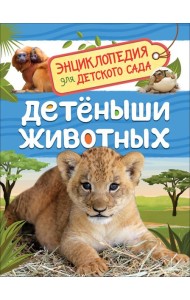 Детеныши животных