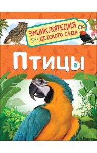 Птицы