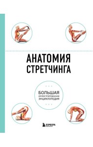 Анатомия стретчинга. Большая иллюстрированная энциклопедия