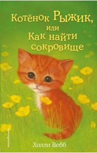 Котёнок Рыжик, или Как найти сокровище (выпуск 13)