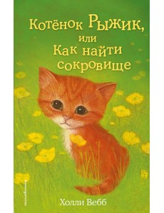 Котёнок Рыжик, или Как найти сокровище (выпуск 13)