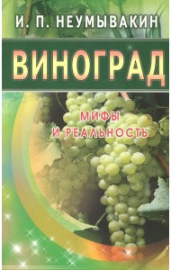 Виноград. Мифы и реальность