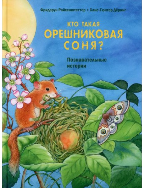 Кто такая орешниковая соня? Познавательные истории