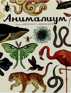 Анималиум