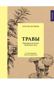 Травы: Природный источник жизненной силы