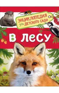 В лесу