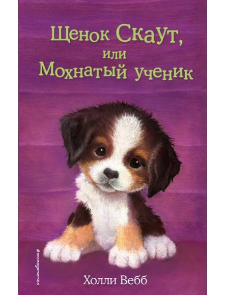 Щенок Скаут, или Мохнатый ученик