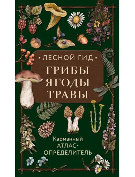 Лесной гид: грибы, ягоды, травы. Карманный атлас-определитель