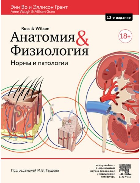 Анатомия и физиология. Нормы и патологии