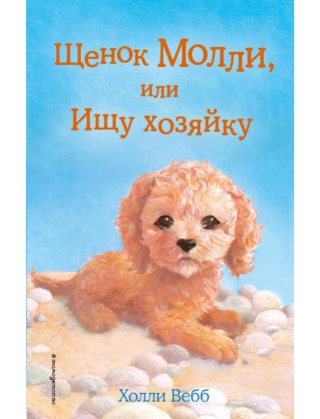 Щенок Молли, или Ищу хозяйку