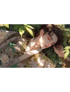 Кардхолдер. Маньхуа. Спящий принц (в форме книжки, 215х65 мм)