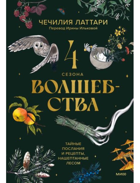 4 сезона волшебства. Тайные послания и рецепты, нашептанные лесом