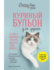 Куриный бульон для души. Не могу поверить, что это сделала моя кошка! 101 история об удивительных выходках любимых питомцев