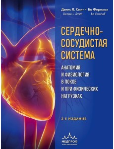 Сердечно-сосудистая система. Анатомия и физиология в покое и при физических нагрузках