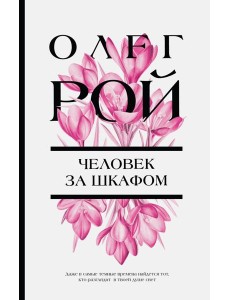 Человек за шкафом: роман