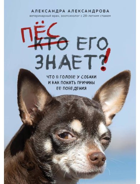 Пес его знает! Что в голове у собаки, и как понять причины ее поведения