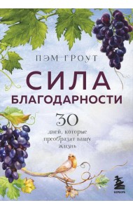 Сила благодарности. 30 дней, которые преобразят вашу жизнь