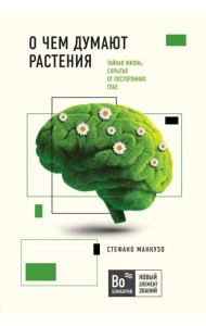 О чем думают растения