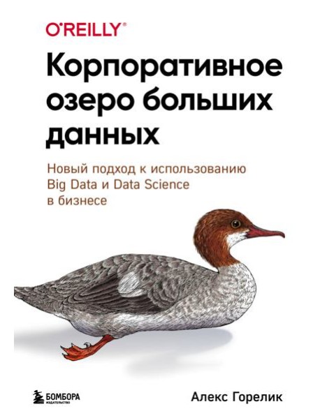 Корпоративное озеро больших данных. Новый подход к использованию Big Data и Data Science в бизнесе