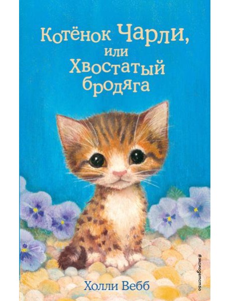 Котенок Чарли, или Хвостатый бродяга: повесть