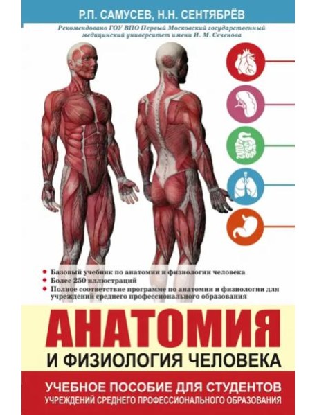 Анатомия и физиология человека. Учебное пособие