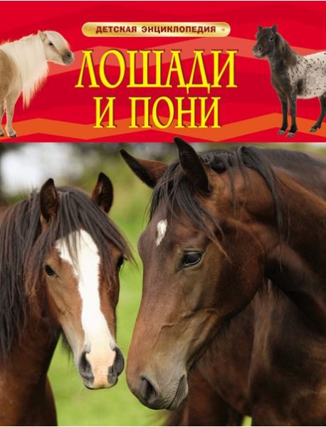 Лошади и пони