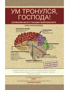 Ум тронулся, господа! Аномалии мозга глазами нейробиолога