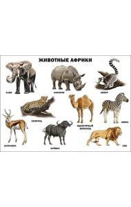 Животные Африки (плакат)