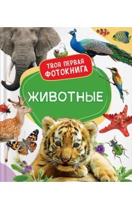 Животные