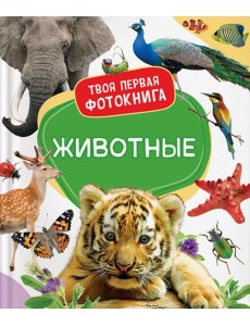 Животные