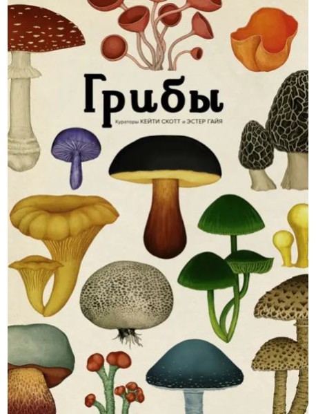 Грибы