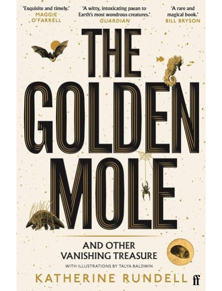 Golden mole (Katherine Rundell) Золотой крот (Кэтрин Ранделл) /Книги на английском языке