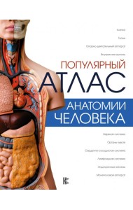 Популярный атлас анатомии человека