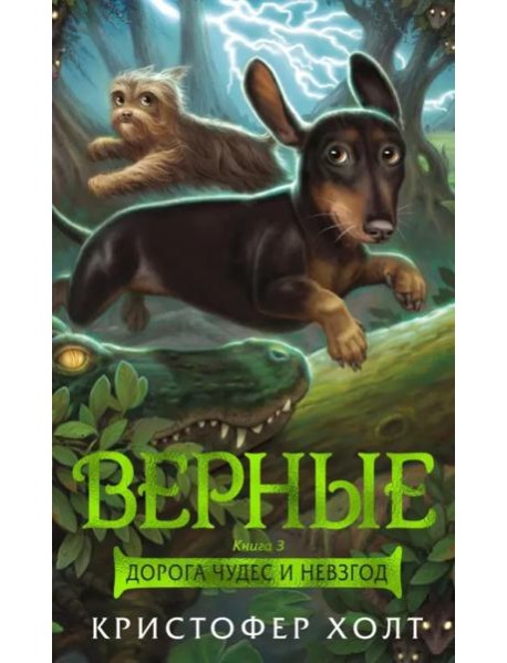 Верные. Кн. 3. Дорога чудес и невзгод