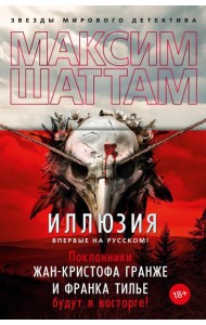 Иллюзия: роман