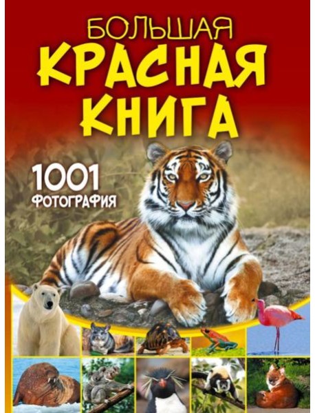 Большая Красная книга. 1001 фотография