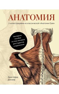Анатомия. С иллюстрациями из классической 