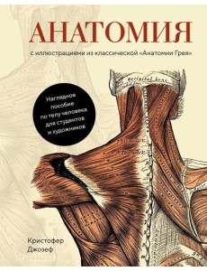Анатомия. С иллюстрациями из классической "Анатомии Грея"