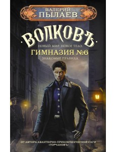 Волковъ. Гимназия №6: фантастический роман