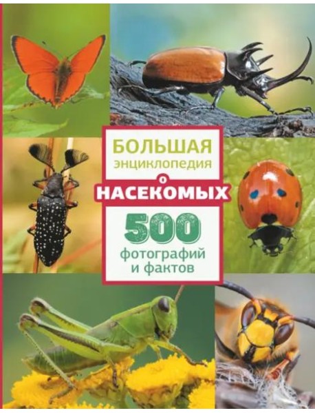 Большая энциклопедия о насекомых. 500 фотографий и фактов
